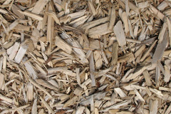 biomass boilers Probus